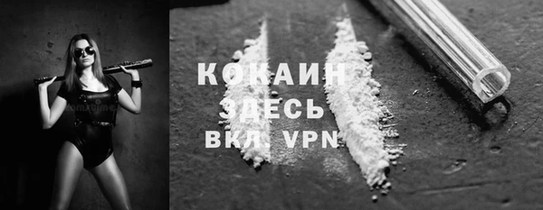 хмурый Арсеньев