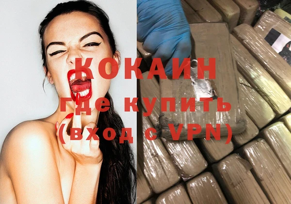 хмурый Арсеньев