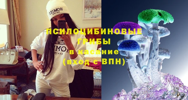 хмурый Арсеньев