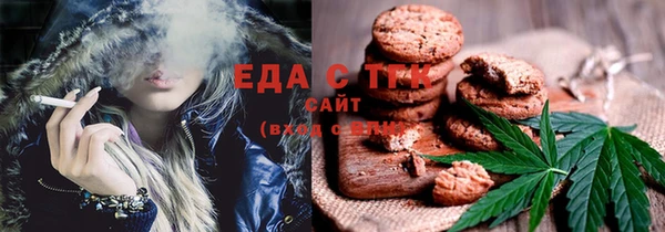хмурый Арсеньев