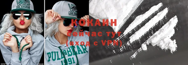 хмурый Арсеньев